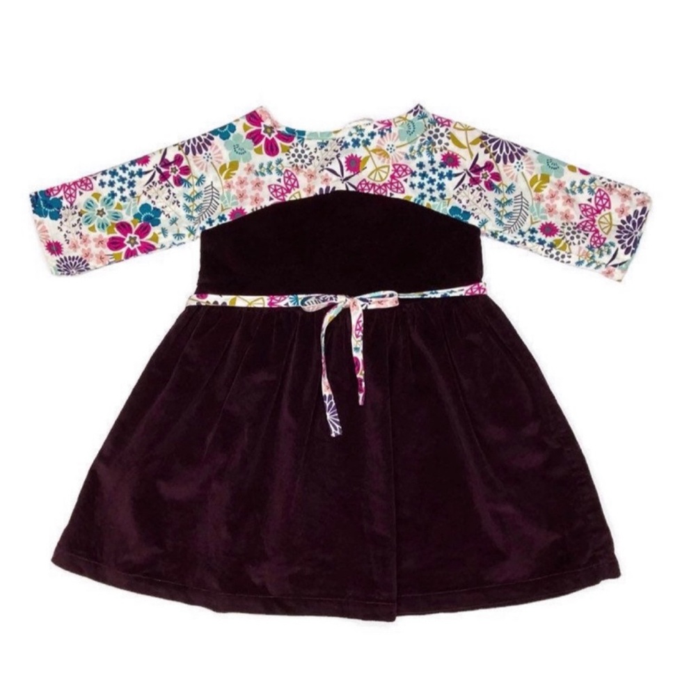 Ele Story Velvet Dress